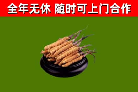 子长烟酒回收冬虫夏草.jpg